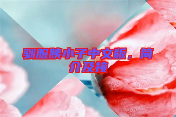 馴服胰小子中文版，簡介及接