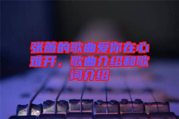 張薔的歌曲愛你在心難開，歌曲介紹和歌詞介紹