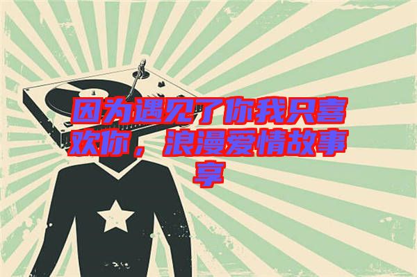 因?yàn)橛鲆?jiàn)了你我只喜歡你，浪漫愛(ài)情故事享