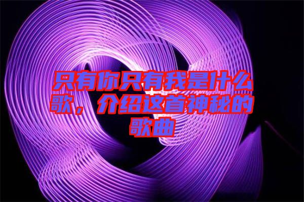 只有你只有我是什么歌，介紹這首神秘的歌曲