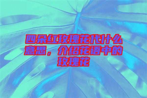 四朵紅玫瑰花代什么意思，介紹花語(yǔ)中的玫瑰花