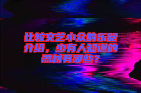 比較文藝小眾的樂器介紹，少有人知道的器材有哪些？