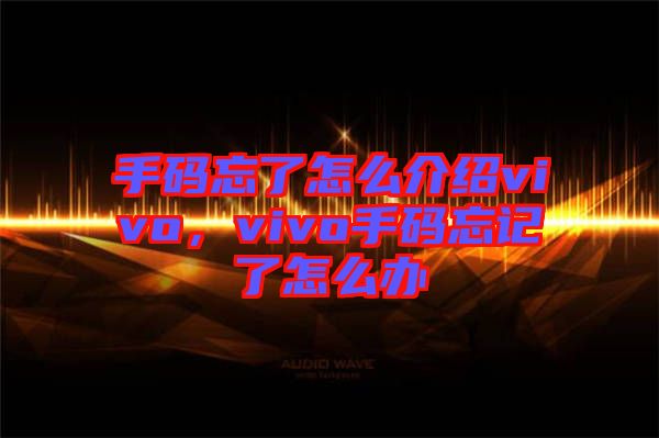 手碼忘了怎么介紹vivo，vivo手碼忘記了怎么辦