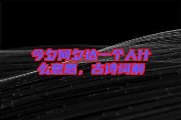 今夕何夕達一個人什么意思，古詩詞解