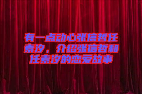 有一點動心張信哲任素汐，介紹張信哲和任素汐的戀愛故事