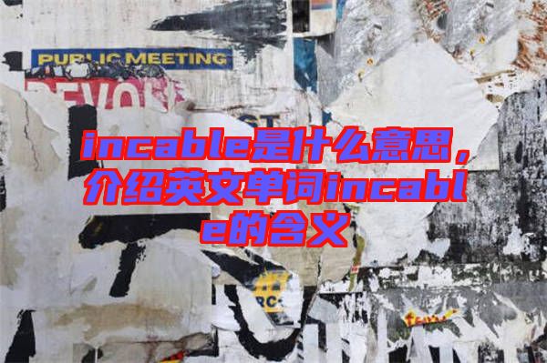 incable是什么意思，介紹英文單詞incable的含義