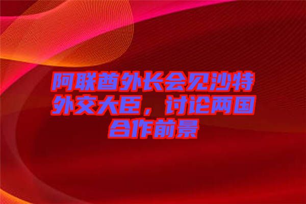 阿聯(lián)酋外長會見沙特外交大臣，討論兩國合作前景