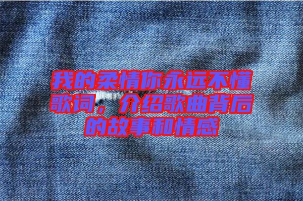 我的柔情你永遠(yuǎn)不懂歌詞，介紹歌曲背后的故事和情感