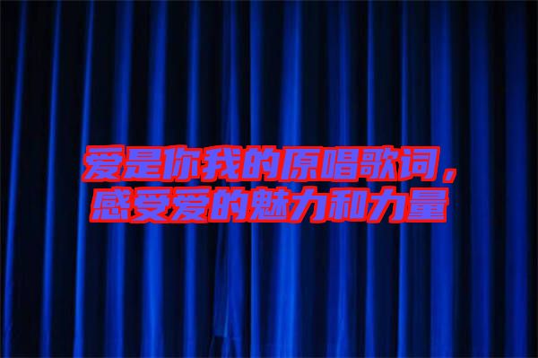 愛是你我的原唱歌詞，感受愛的魅力和力量