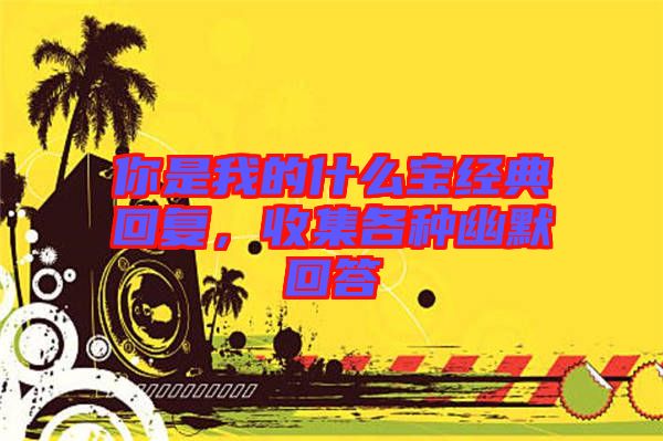 你是我的什么寶經(jīng)典回復(fù)，收集各種幽默回答