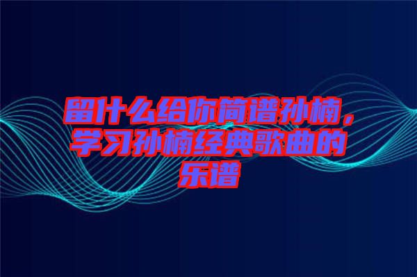 留什么給你簡(jiǎn)譜孫楠，學(xué)習(xí)孫楠經(jīng)典歌曲的樂譜