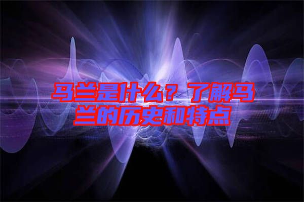 馬蘭是什么？了解馬蘭的歷史和特點(diǎn)