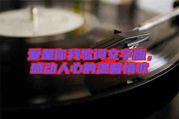 愛是你我歌詞文字版，感動人心的溫馨情歌