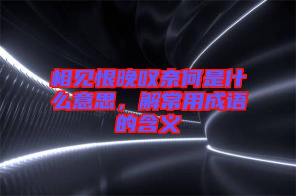 相見恨晚嘆奈何是什么意思，解常用成語(yǔ)的含義