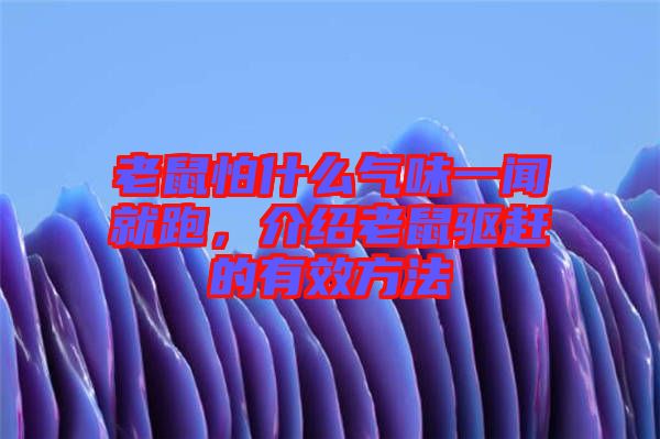 老鼠怕什么氣味一聞就跑，介紹老鼠驅(qū)趕的有效方法