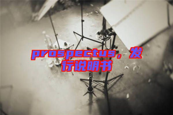 prospectus，發(fā)行說明書