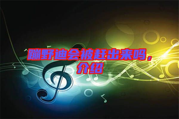 蹦野迪會被趕出來嗎，介紹