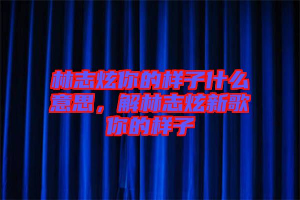 林志炫你的樣子什么意思，解林志炫新歌你的樣子