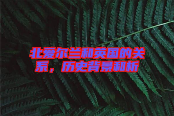 北愛(ài)爾蘭和英國(guó)的關(guān)系，歷史背景和析