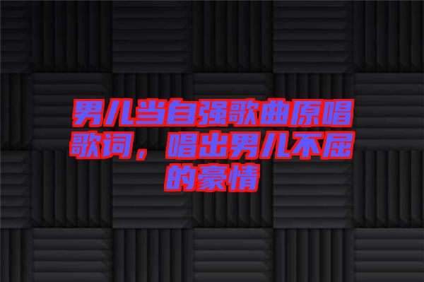 男兒當(dāng)自強(qiáng)歌曲原唱歌詞，唱出男兒不屈的豪情
