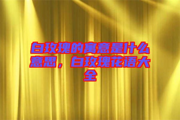 白玫瑰的寓意是什么意思，白玫瑰花語大全