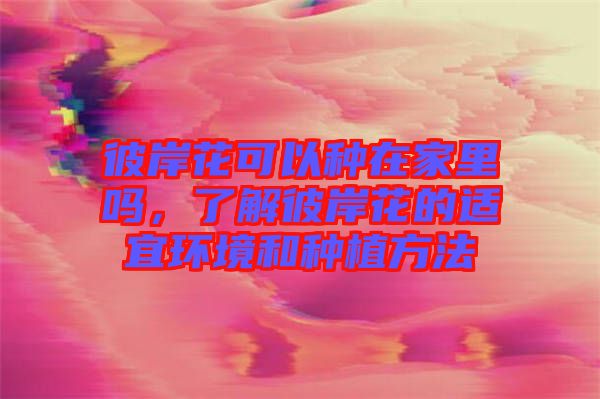 彼岸花可以種在家里嗎，了解彼岸花的適宜環(huán)境和種植方法