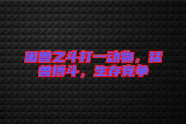 困獸之斗打一動物，猛獸搏斗，生存競爭