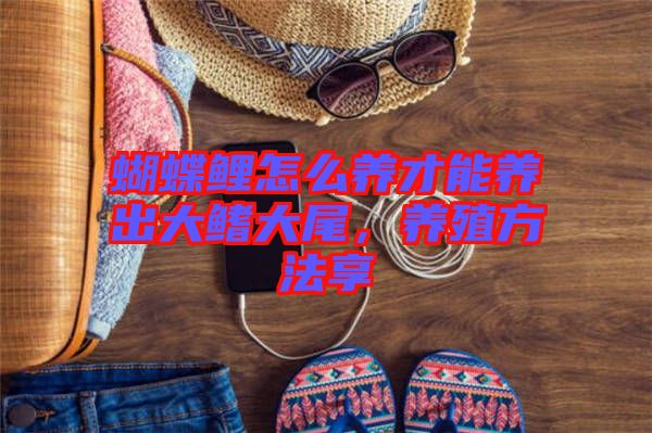 蝴蝶鯉怎么養(yǎng)才能養(yǎng)出大鰭大尾，養(yǎng)殖方法享