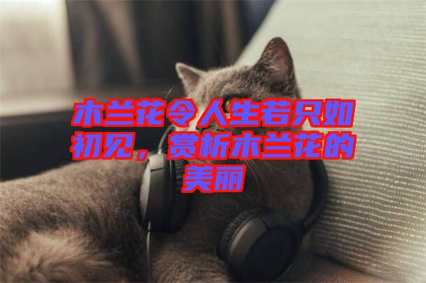木蘭花令人生若只如初見，賞析木蘭花的美麗