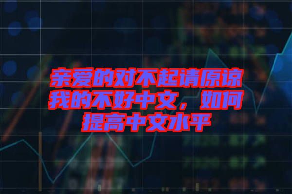 親愛的對不起請原諒我的不好中文，如何提高中文水平