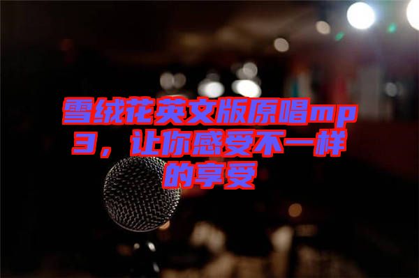 雪絨花英文版原唱mp3，讓你感受不一樣的享受