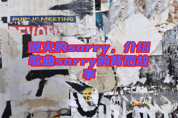 很火的sorry，介紹歌曲sorry的背后故事