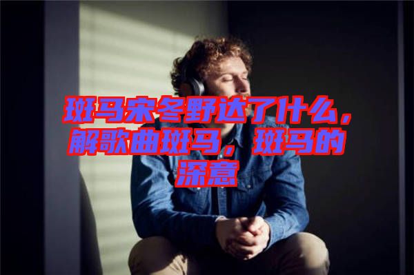 斑馬宋冬野達(dá)了什么，解歌曲斑馬，斑馬的深意