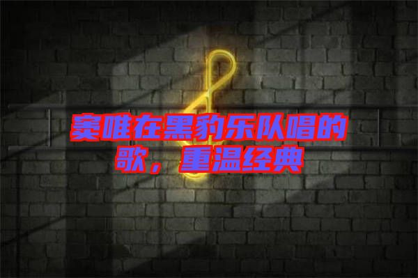 竇唯在黑豹樂(lè)隊(duì)唱的歌，重溫經(jīng)典