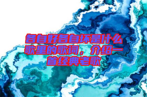 各自好各自壞是什么歌里的歌詞，介紹一首經(jīng)典老歌