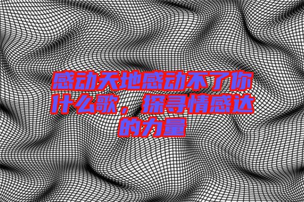 感動(dòng)天地感動(dòng)不了你什么歌，探尋情感達(dá)的力量