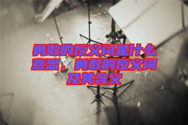 勇敢的反義詞是什么意思，勇敢的反義詞及其含義