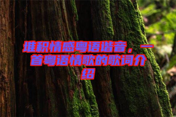 堆積情感粵語(yǔ)諧音，一首粵語(yǔ)情歌的歌詞介紹