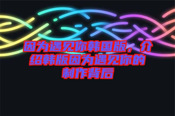 因?yàn)橛鲆娔沩n國(guó)版，介紹韓版因?yàn)橛鲆娔愕闹谱鞅澈? width=