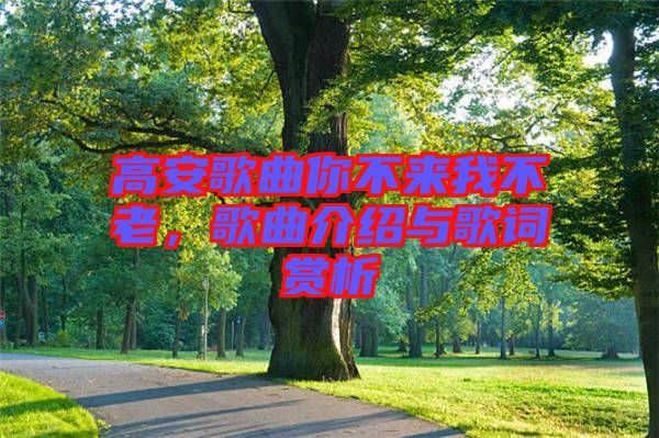 高安歌曲你不來我不老，歌曲介紹與歌詞賞析