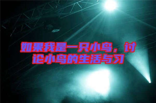 如果我是一只小鳥(niǎo)，討論小鳥(niǎo)的生活與習(xí)