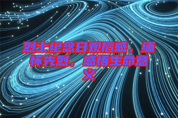烈士紀(jì)念日觀后感，緬懷先烈，感悟生命意義