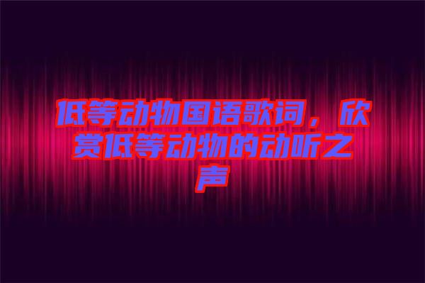 低等動(dòng)物國語歌詞，欣賞低等動(dòng)物的動(dòng)聽之聲