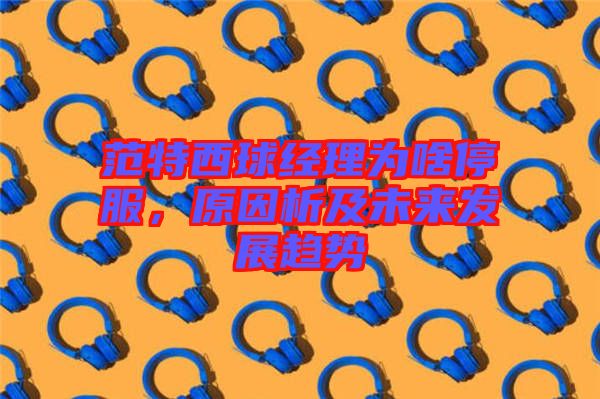 范特西球經(jīng)理為啥停服，原因析及未來發(fā)展趨勢