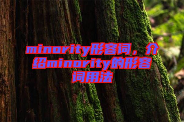 minority形容詞，介紹minority的形容詞用法