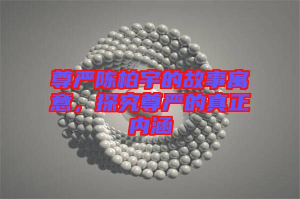 尊嚴(yán)陳柏宇的故事寓意，探究尊嚴(yán)的真正內(nèi)涵