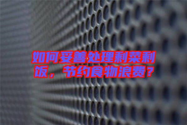 如何妥善處理剩菜剩飯，節(jié)約食物浪費？