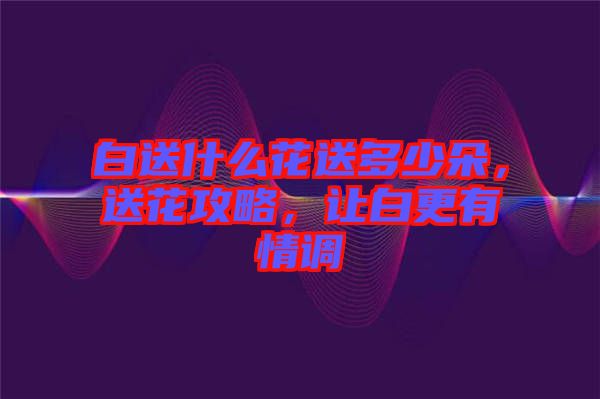 白送什么花送多少朵，送花攻略，讓白更有情調(diào)