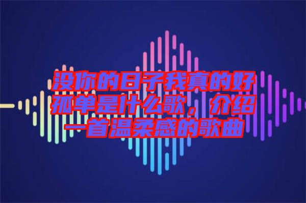 沒你的日子我真的好孤單是什么歌，介紹一首溫柔感的歌曲