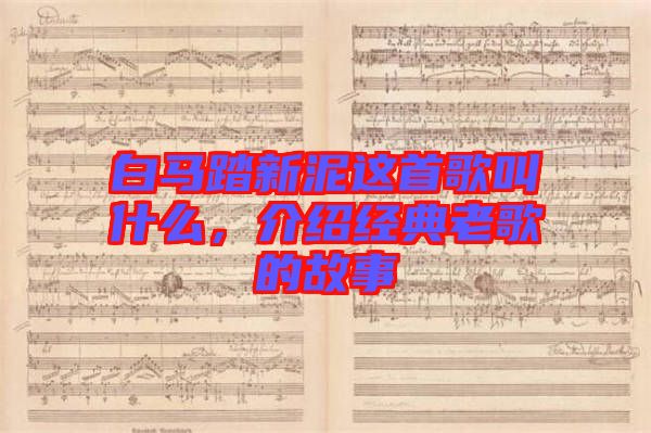 白馬踏新泥這首歌叫什么，介紹經(jīng)典老歌的故事